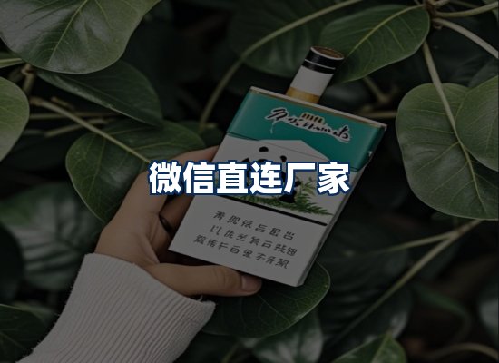 专业团队办公环境